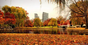 Boston-Fall